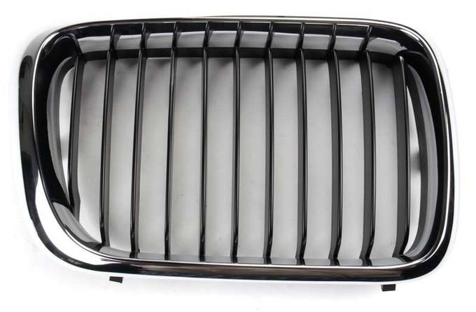 BMW Kidney Grille - Front Passenger Side 51138195152